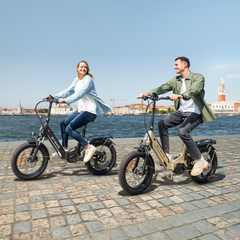 ENGWE L20 3.0 Pro 250W 100Nm Mid-drive Motor Full Suspension Compact E-bike