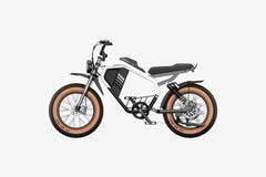 Luckeep M5 Max 2000W Peak Motor eBike