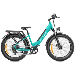 ENGWE E26 26"  Fat Tire All-Terrain Electric Bike 1000W Motor Peak 48V 16Ah Battery
