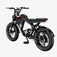 LUCKEEP M5 20" Electric Dirt Motorbike 1000W Motor 48V 15Ah/35Ah Battery