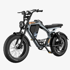 LUCKEEP M5 20" Electric Dirt Motorbike 1000W Motor 48V 15Ah/35Ah Battery
