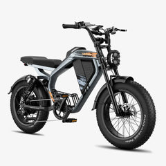 LUCKEEP M5 20" Electric Dirt Motorbike 1000W Motor 48V 15Ah/35Ah Battery