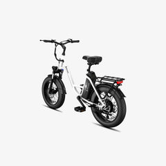 LUCKEEP C27 20" Step-Thru Cargo Electric Bike 750W(1200W Peak) Motor 48V 13Ah Battery