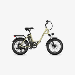 LUCKEEP C27 20" Step-Thru Cargo Electric Bike 750W(1200W Peak) Motor 48V 13Ah Battery