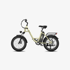 LUCKEEP C27 20" Step-Thru Cargo Electric Bike 750W(1200W Peak) Motor 48V 13Ah Battery
