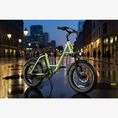 LUCKEEP C27 20" Step-Thru Cargo Electric Bike 750W(1200W Peak) Motor 48V 13Ah Battery