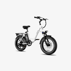 LUCKEEP C27 20" Step-Thru Cargo Electric Bike 750W(1200W Peak) Motor 48V 13Ah Battery
