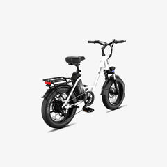 LUCKEEP C27 20" Step-Thru Cargo Electric Bike 750W(1200W Peak) Motor 48V 13Ah Battery
