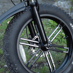 LUCKEEP X1 20" Folding Electric Bike 1000W(1500W Peak) Motor 48V 15Ah Battery