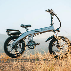 LUCKEEP X1 20" Folding Electric Bike 1000W(1500W Peak) Motor 48V 15Ah Battery