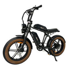 PVY X20 20" Fat Tire Elektro-Dirtbike, 250-W-Motor, 48-V-30-Ah-Batterie