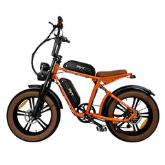 PVY X20 20" Fat Tire Elektro-Dirtbike, 250-W-Motor, 48-V-30-Ah-Batterie