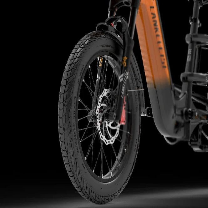LANKELEISI Wombat-1 20" Cargo Electric Bike 1000W Motor 48V 20Ah Battery
