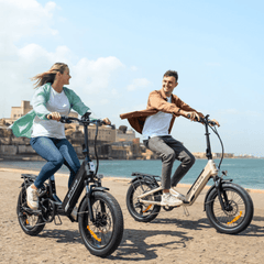 ENGWE L20 3.0 Boost 250W 75Nm Boost Power Full Suspension Compact E-bike