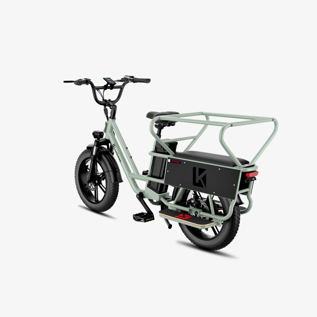 LUCKEEP X5 Lite 20" Cargo Electric Bike 750W(1400W Peak) Motor 48V 20Ah Battery