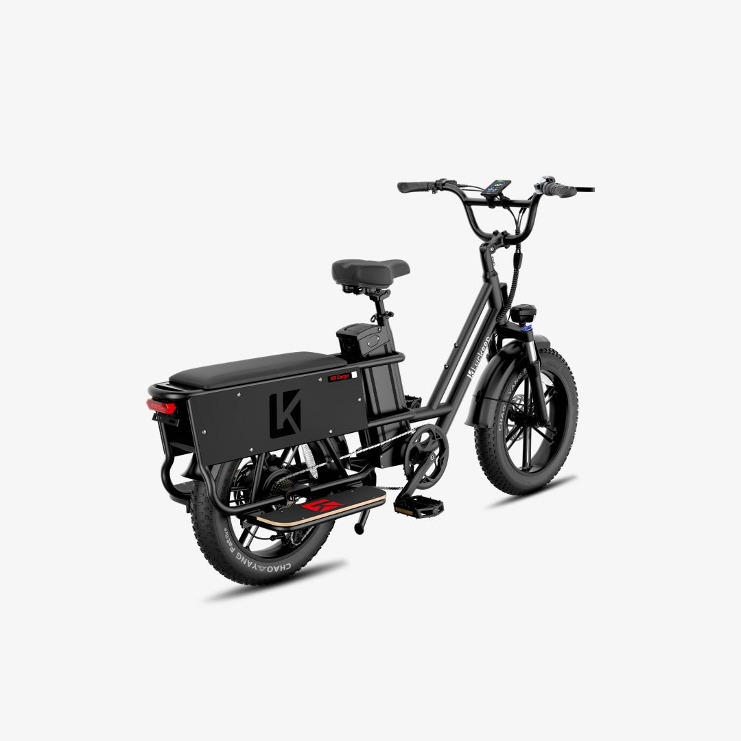 LUCKEEP X5 Lite 20" Cargo Electric Bike 750W(1400W Peak) Motor 48V 20Ah Battery