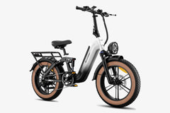 LUCKEEP X3 20" Cargo Electric Bike 750W(1400W Peak) Motor 48V 20Ah Battery