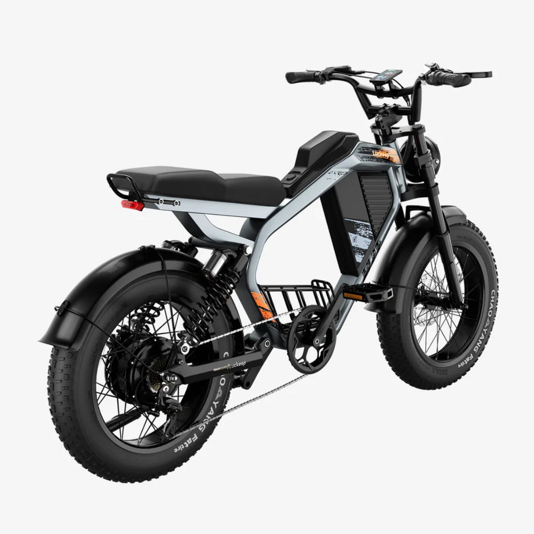 LUCKEEP M5 20" Electric Dirt Motorbike 1000W Motor 48V 15Ah/35Ah Battery