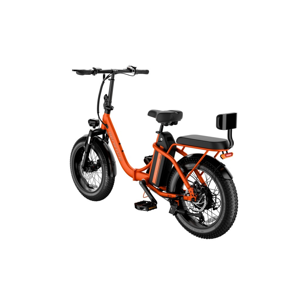 LUCKEEP C23 20" Folding Electric Bike 750W(1200W Peak) Motor 48V 15Ah Battery