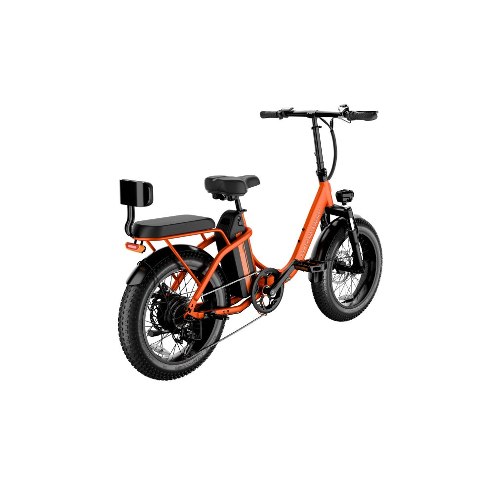 LUCKEEP C23 20" Folding Electric Bike 750W(1200W Peak) Motor 48V 15Ah Battery
