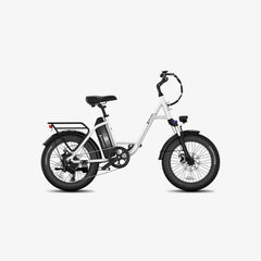 LUCKEEP C27 20" Step-Thru Cargo Electric Bike 750W(1200W Peak) Motor 48V 13Ah Battery