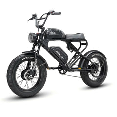 MEELOD DK300 MAX 20" Retro Moped Style Electric Bike 2400W Peak Dual Motors 48V 20Ah Dual Batteries