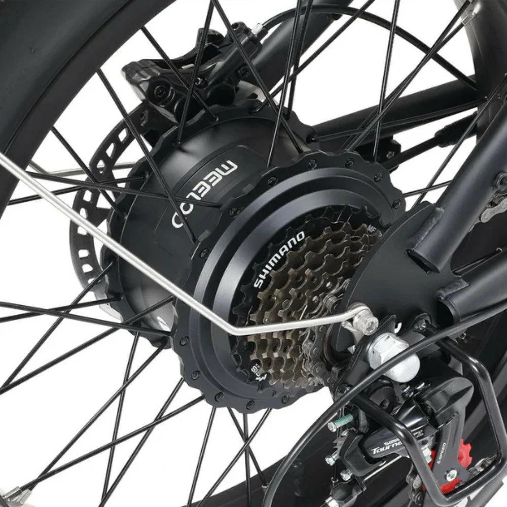 MEELOD DK300 MAX 20" Retro Moped Style Electric Bike 2400W Peak Dual Motors 48V 20Ah Dual Batteries