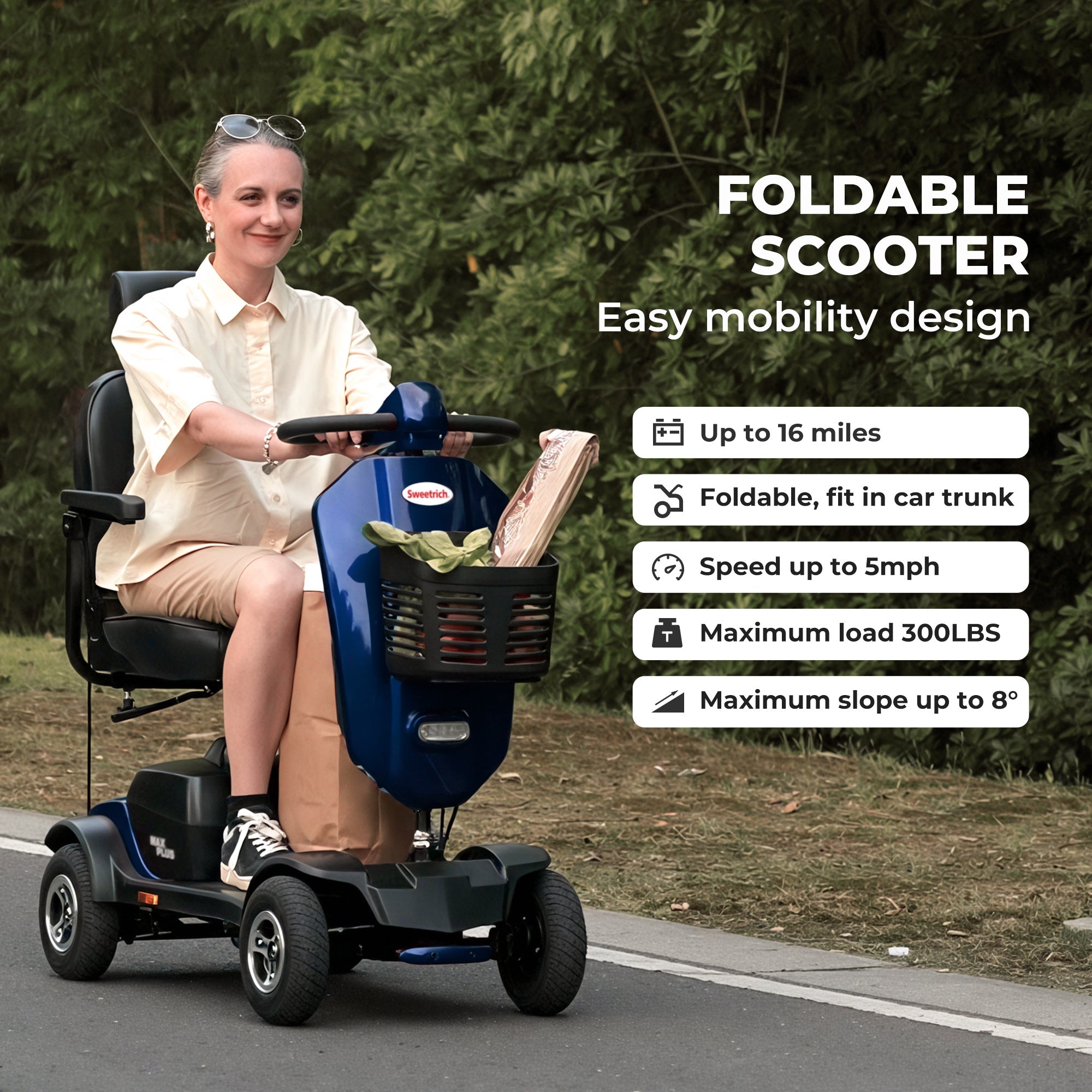 METRO MOBILITY MAX PLUS 9" 4 Wheel Electric Mobility Scooter  300W Motor 24V 20Ah Battery (German Version)