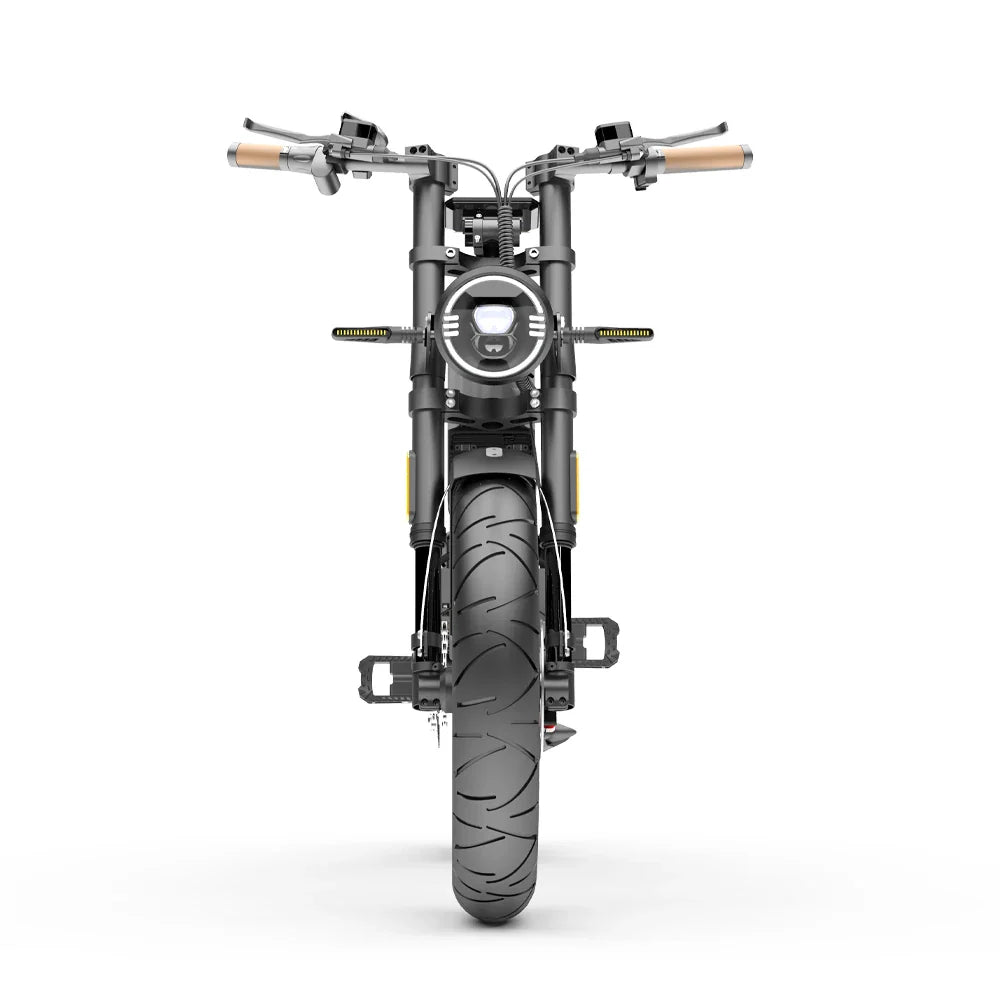 NEXXBIKE X5 Plus 20" Fat Tires Electric Dirt Bike 2000W Peak Motor 48V 25Ah Battery With NFC Key
