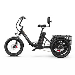 ONESPORT OT30 PRO  20" 3-Wheel Folding E-Trike 500W Motor 48V 18Ah Battery
