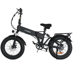 WINDGOO F22 PRO 20" Folding Electric Bike 250W Motor 48V 12.5Ah Battery