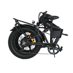 WINDGOO F22 PRO 20" Folding Electric Bike 250W Motor 48V 12.5Ah Battery