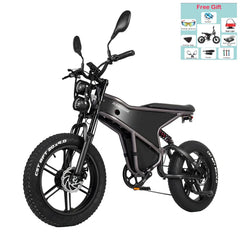 RANDRIDE DM711 20" Retro Fat Tire Electric Bike 500W*2 Dual Motors 48V 20Ah Battery