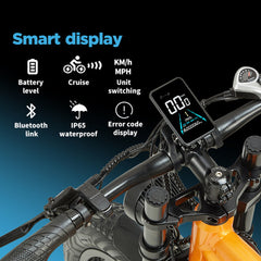 RANDRIDE YX80-2 26" Mountain Electric Bike 1000W*2  Dual Motors 48V 20Ah Battery