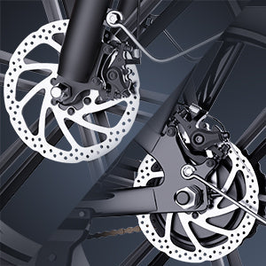 RIDSTAR FM001 20" 1000W Motor 2 Seater Fat Tire Electric Bike 48V 15Ah Battery