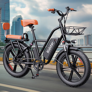 RIDSTAR FM001 20" 1000W Motor 2 Seater Fat Tire Electric Bike 48V 15Ah Battery