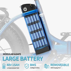 RIDSTAR MN20 20" Fat Tire Folding Electric Bike 1000W Motor 48V 15Ah/20Ah Battery