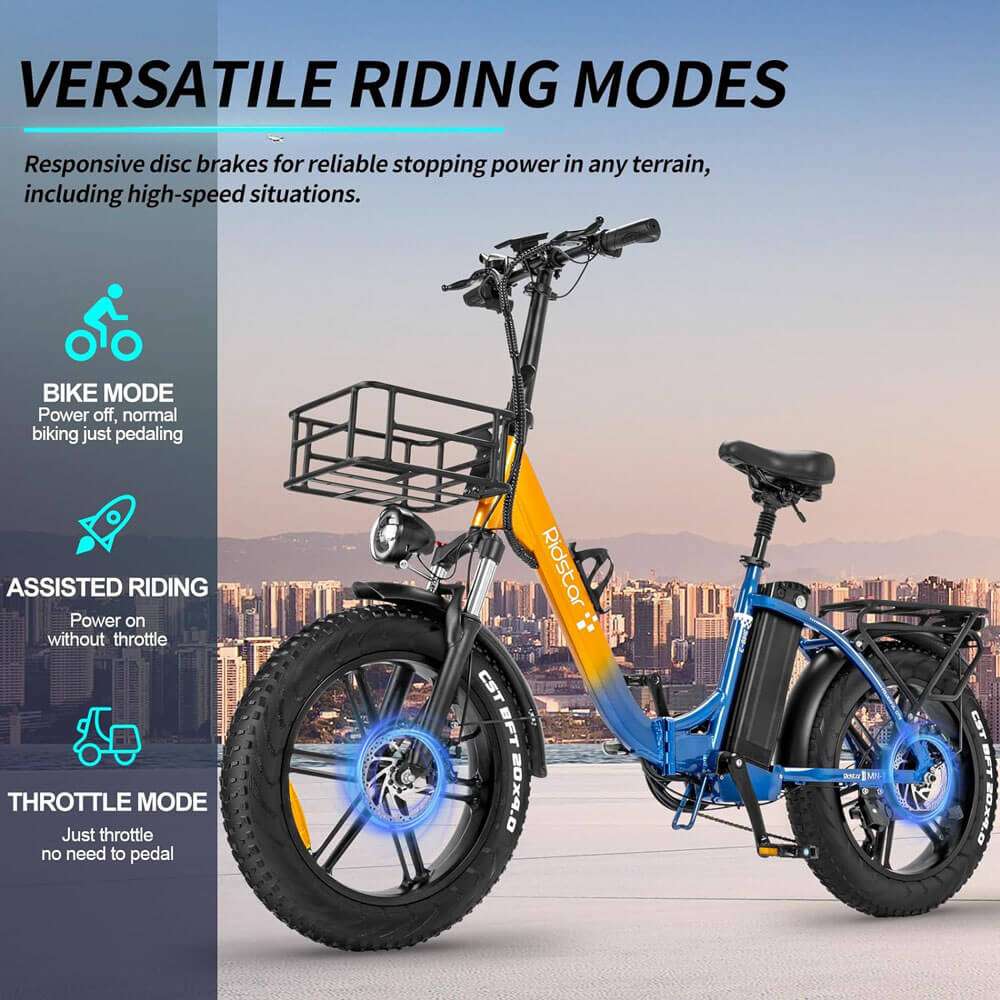 RIDSTAR MN20 20" Fat Tire Folding Electric Bike 1000W Motor 48V 15Ah/20Ah Battery