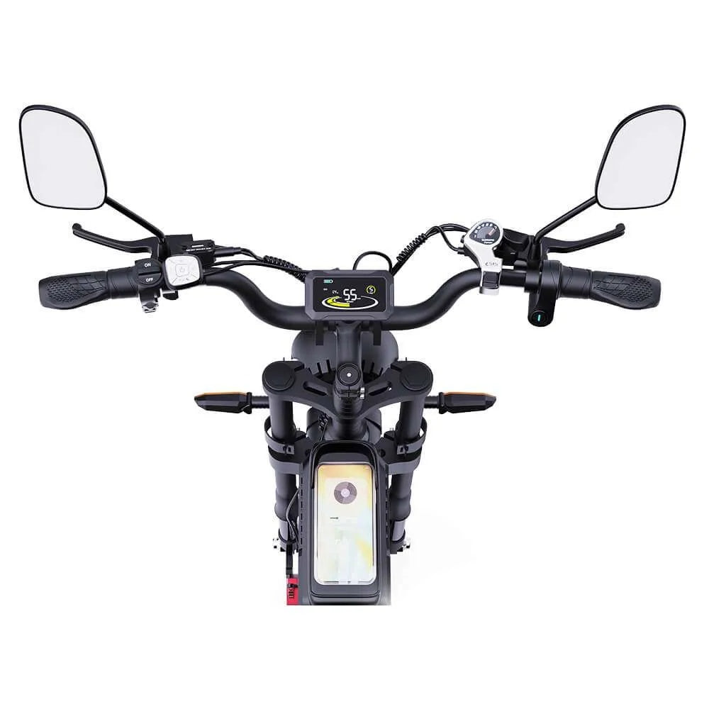 RIDSTAR Q20 Pro 20" Fat Tires Electric Bikes 2*1000W Motor 52V 20Ah Dual Battery