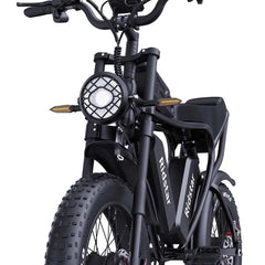 RIDSTAR Q20 Pro 20" Fat Tires Electric Bikes 2*1000W Motor 52V 20Ah Dual Battery