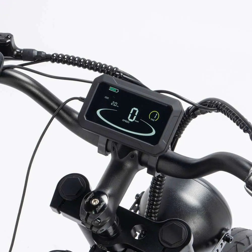 RIDSTAR Q20 Pro 20" Fat Tires Electric Bikes 2*1000W Motor 52V 20Ah Dual Battery