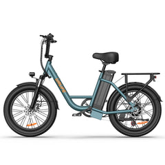 URLIFE E20 20" Step Through Electric Bike 250W Motor 48V 13Ah Battery (EU & UK)