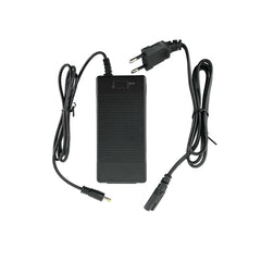 PVY LIBON/Z20 MAX Battery Rapid Charger