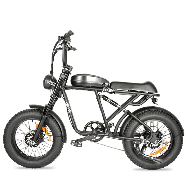 POLEEJIEK PLJ2008 20" Fat Tire Electric Bike 2000W Dual Motors 48V 20Ah Battery