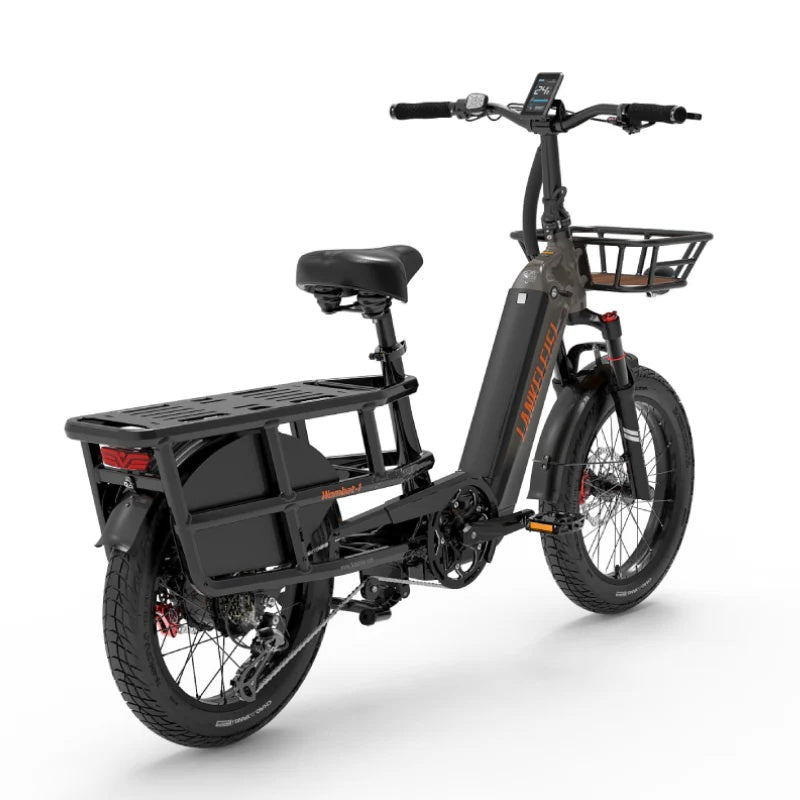 LANKELEISI Wombat-1 20" Cargo Electric Bike 1000W Motor 48V 20Ah Battery