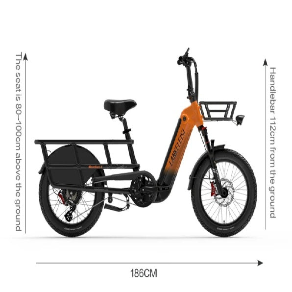 LANKELEISI Wombat-1 20" Cargo Electric Bike 1000W Motor 48V 20Ah Battery