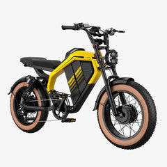 LUCKEEP M5 Ultra 20" Electric Dirt Motorbike 1000W*2 Dual Motors 52V 20Ah+20Ah Battery