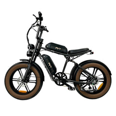 PVY X20 20" Fat Tire Electric Dirt Bike 250W Motor 48V 30Ah Battery