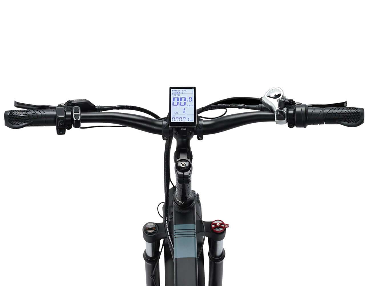 RIDSTAR H20 20" Foldble Electric Bike 1000W Motor 48V 15Ah Battery