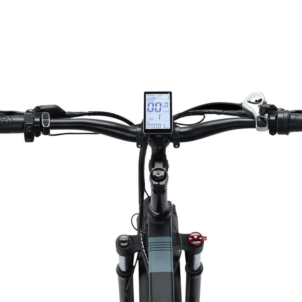 RIDSTAR H20 Pro 20" Folding Electric Bike 2000W Motor 48V 23AH Battery